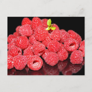 Himbeere, Lebensmittel, Früchte, Beeren, reif, fri Postkarte