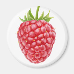 Himbeere Magnet