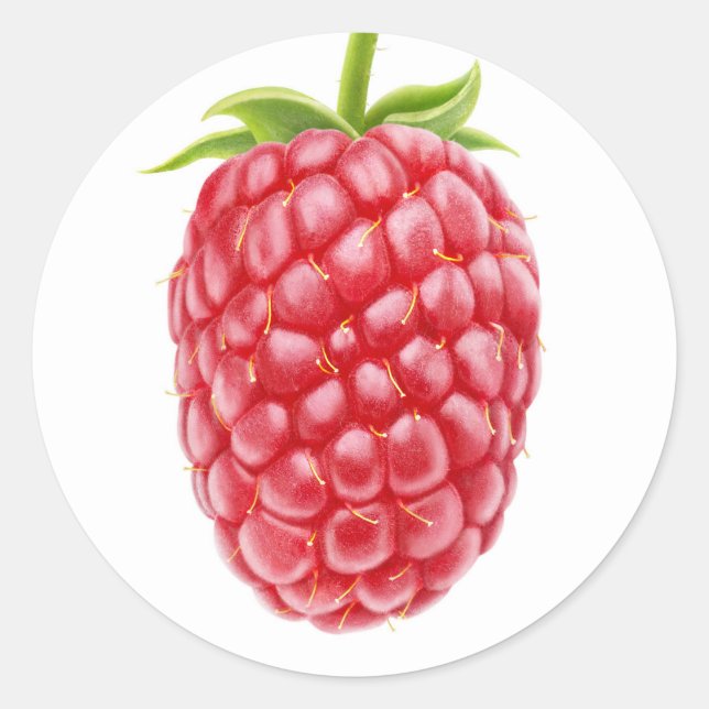 Himbeere Runder Aufkleber (Vorderseite)