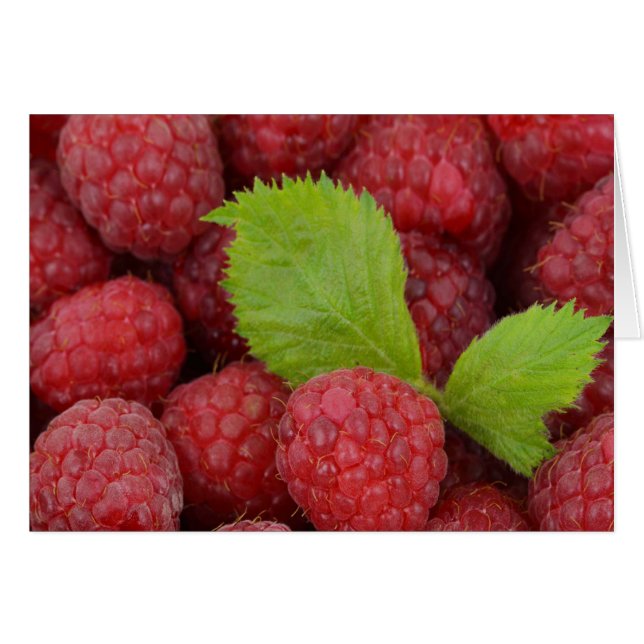 Himbeeren (Vorderseite (Horizontal))