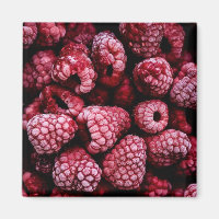 Himbeeren Fresh Red