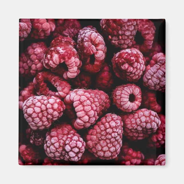 Himbeeren Fresh Red Magnet (Vorne)
