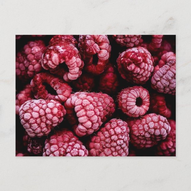 Himbeeren Fresh Red Postkarte (Vorderseite)