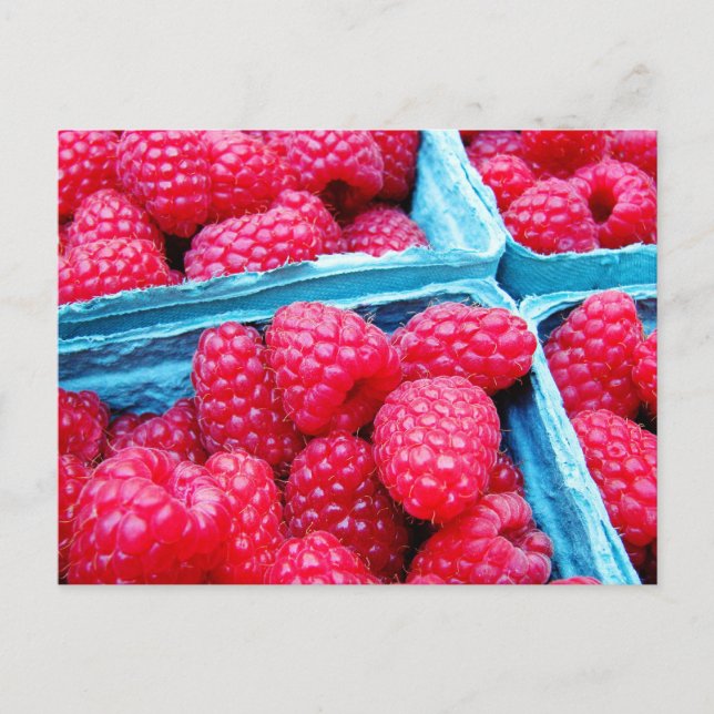 Himbeeren, frisch postkarte (Vorderseite)
