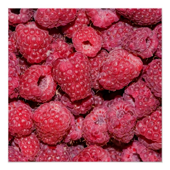 Himbeeren Poster (Vorderseite)