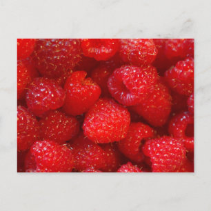 Himbeeren Postkarte