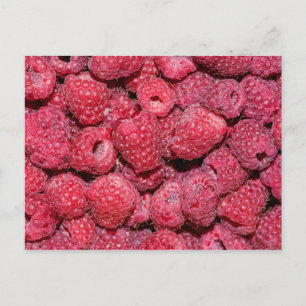 Himbeeren Postkarte