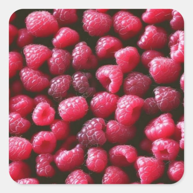 Himbeeren Quadratischer Aufkleber (Vorderseite)