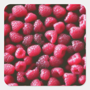 Himbeeren Quadratischer Aufkleber