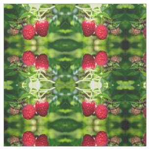 Himbeeren Stoff