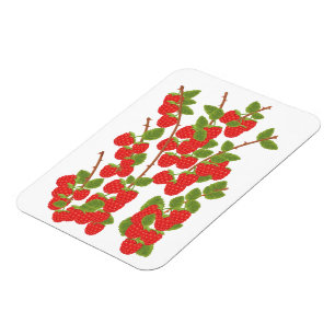Himbeerfrucht Magnet