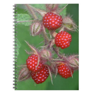 HimbeerNotebook Notizblock