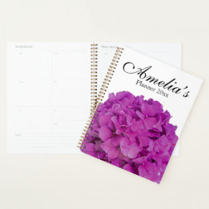Himbeerrosa Hydrangeas Rosa Magenta Blume Planer