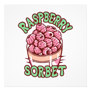 Himbeersorbet  fotodruck