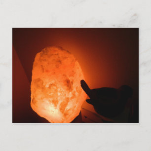 Himilayan Salz Lamp mit Bird Postkarte