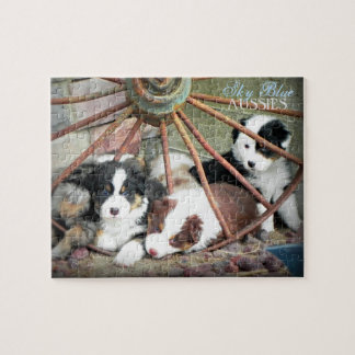 Himmel-Blau-Australier WELPE Puzzlespiel