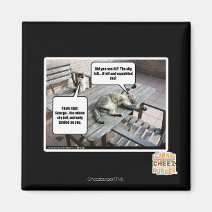 Himmel fällt magnet