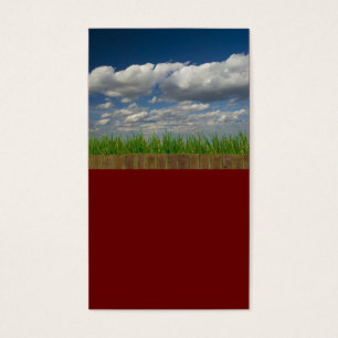 Himmel, Gras, Ziegelsteine