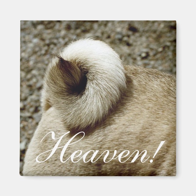 Himmel! Magnet (Vorne)