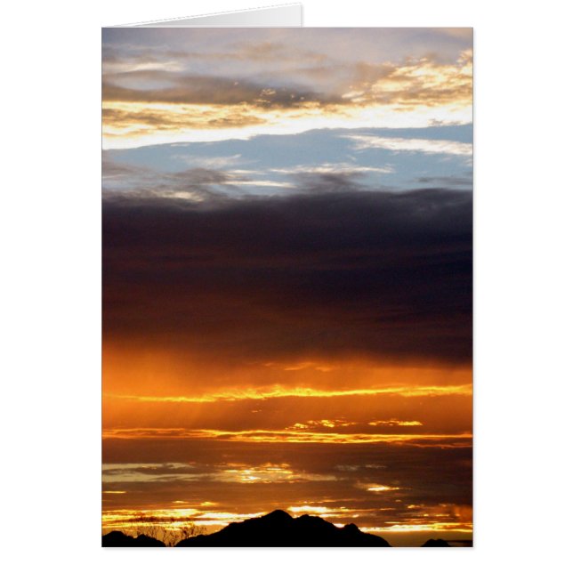 Himmel oder Hölle~ Kimberly P-Chadwick (Vorne)