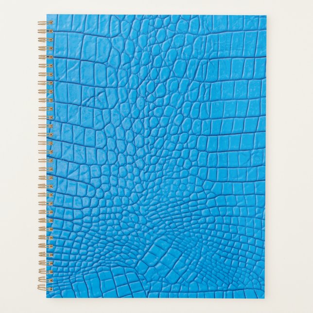 Himmelblaues Leder  Planer (Vorderseite)