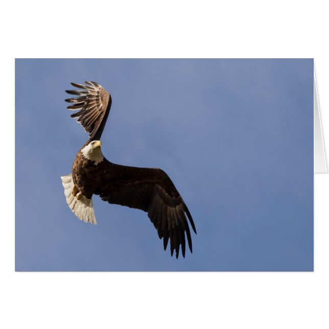 Himmelfahrt (Vorderseite (Horizontal))