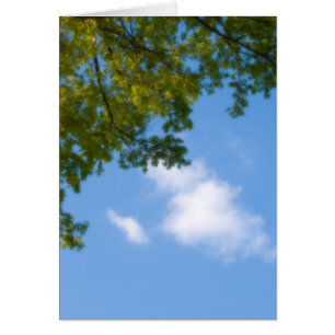 Himmelsansicht mit Baumspitze