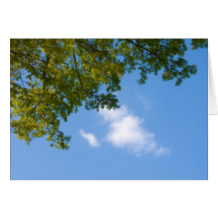 Himmelsansicht mit Baumspitze