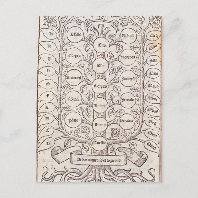 Himmelsleiter Postkarte (Vorderseite)