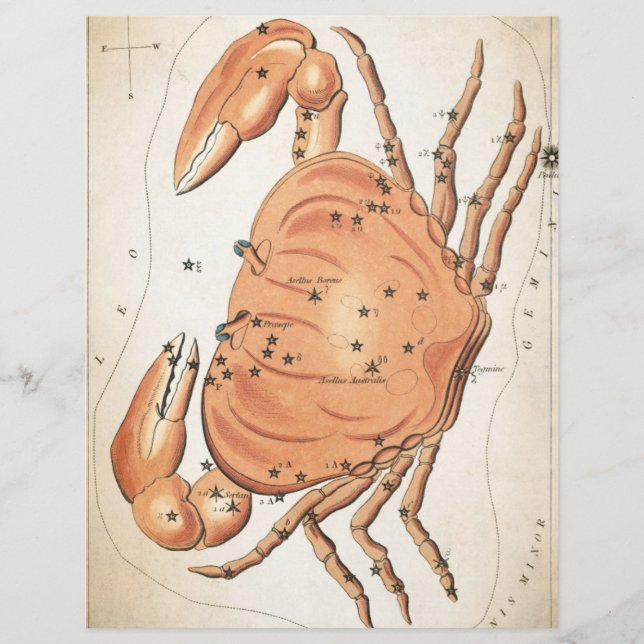Himmelsmystische Galaxie-Krabbenpapier (Vorderseite)