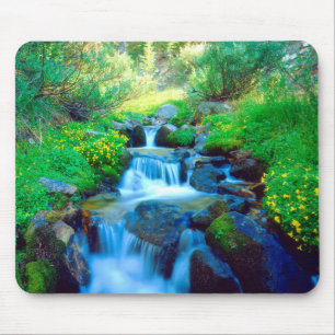 Himmelsweiden in der Sierra Nevada Mousepad