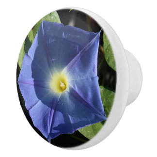 Himmlische blaue Winden-Küchen-Griffe Keramikknauf