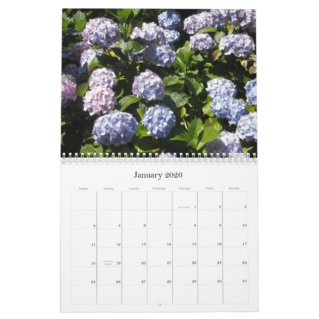 Himmlische Hydrangeas 2013 Kalender (Jan 2026)