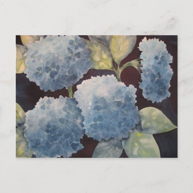 Himmlische Hydrangeas Postkarte (Vorderseite)