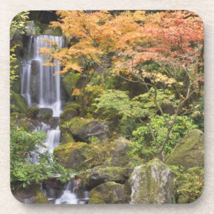 Himmlische Wasserfälle und Herbstfarben Getränkeuntersetzer