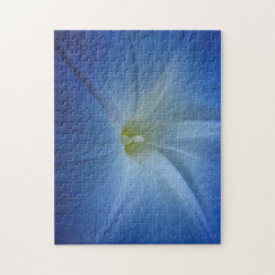Himmlisches Blue Morning Glory Blume Foto