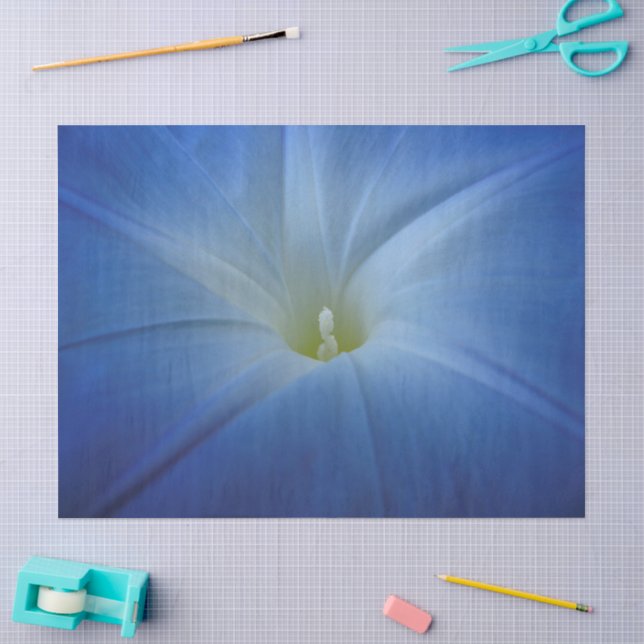 Himmlisches Blue Morning Glory Nah-Up-Foto Seidenpapier (Basteln)