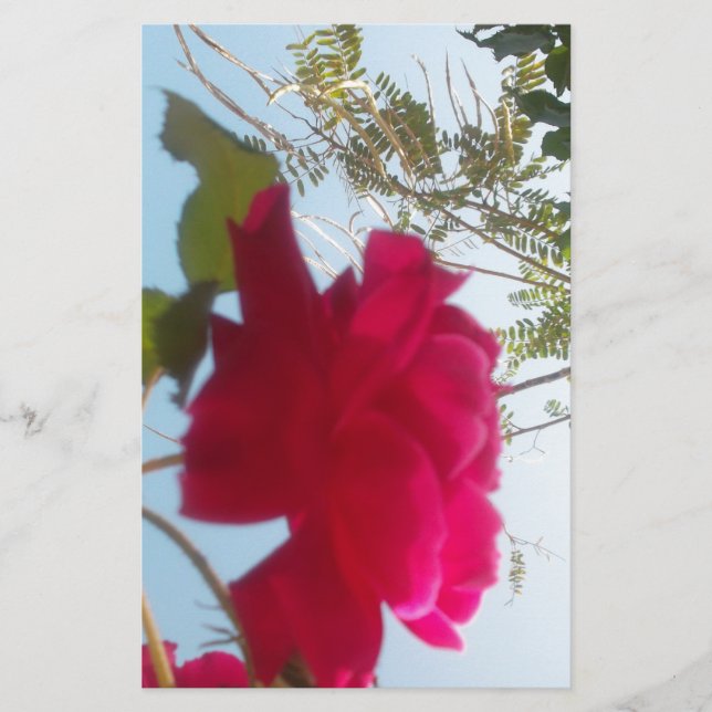 Himmlisches Blut: Eine Rose gegen den Himmel Briefpapier (Vorderseite)