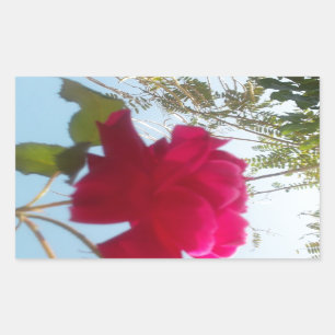 Himmlisches Blut: Eine Rose gegen den Himmel Rechteckiger Aufkleber