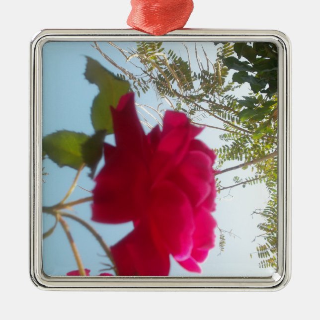 Himmlisches Blut: Eine Rose gegen den Himmel Silbernes Ornament (Vorne)