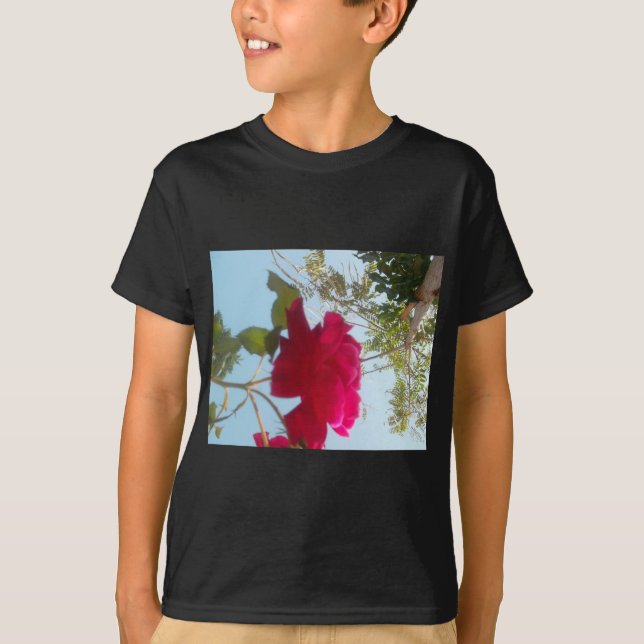 Himmlisches Blut: Eine Rose gegen den Himmel T-Shirt (Vorderseite)
