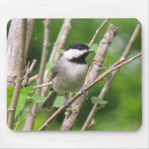 Himmlisches C. Chickadee Mousepad