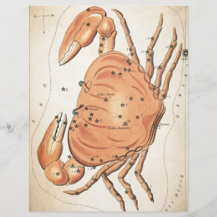 Himmlisches mystisches Galaxie-Krabben-Scrapbook-P