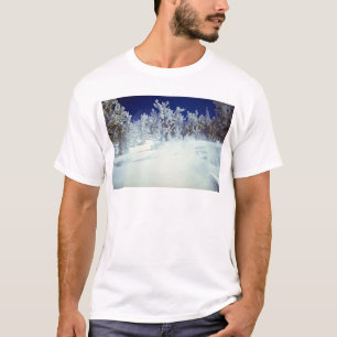 Himmlisches Tal, USA T-Shirt
