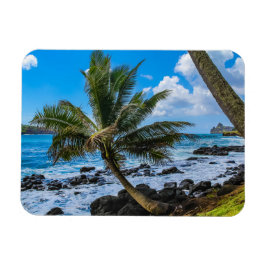 Hin und her... magnet