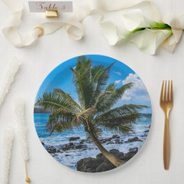 Hin und her... pappteller