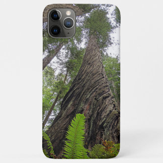 Hin zu Himmel über Redwoods wirbelnde Rinde Case-Mate iPhone Hülle
