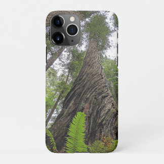 Hin zu Himmel über Redwoods wirbelnde Rinde iPhone 11Pro Hülle