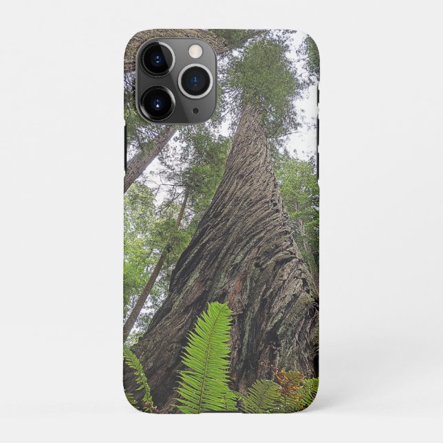 Hin zu Himmel über Redwoods wirbelnde Rinde iPhone Hülle (Rückseite)