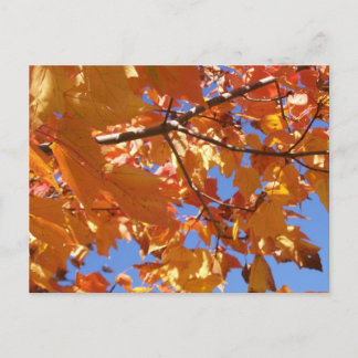 Hin zum Himmel Postkarte